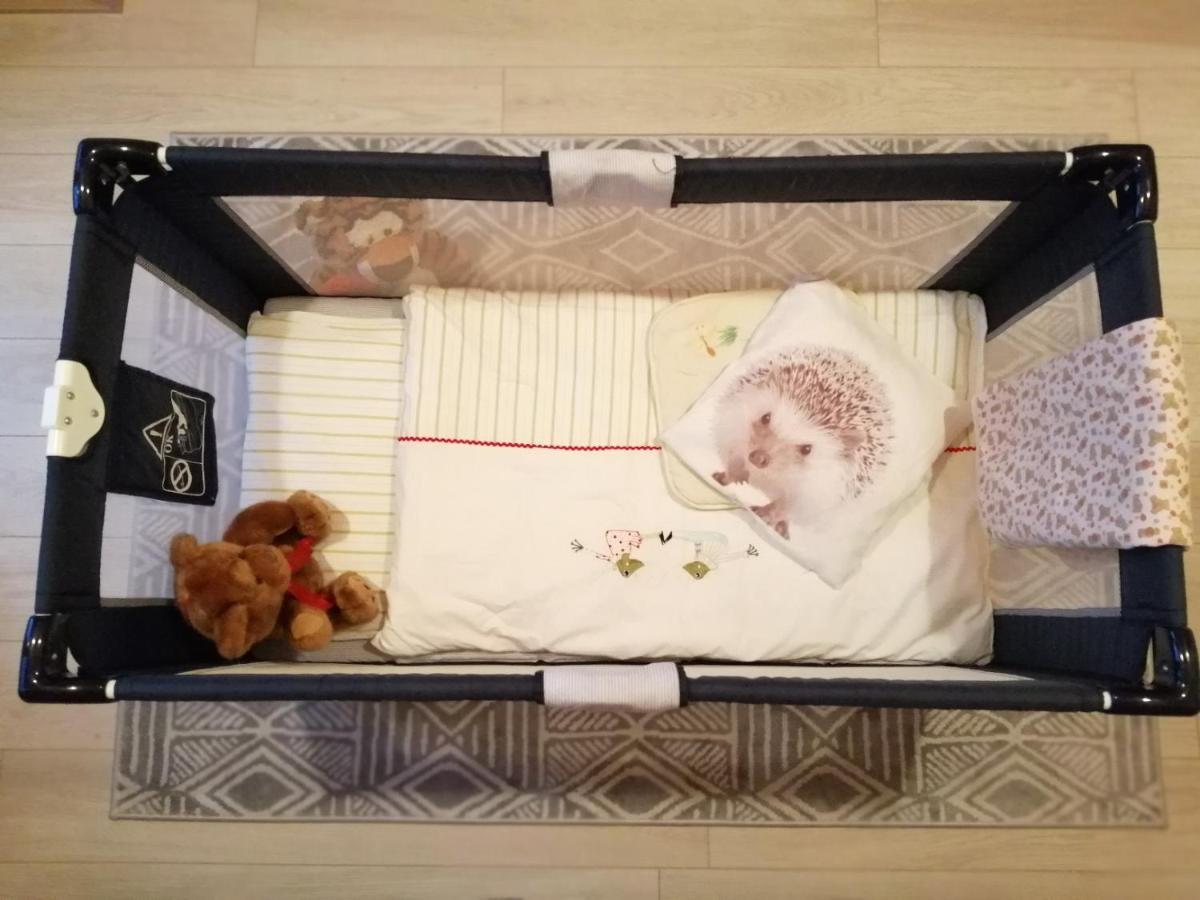 Domki Sowi Kamien 웜니차 외부 사진